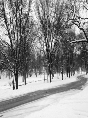 cover image of A Time of Ice and Ash